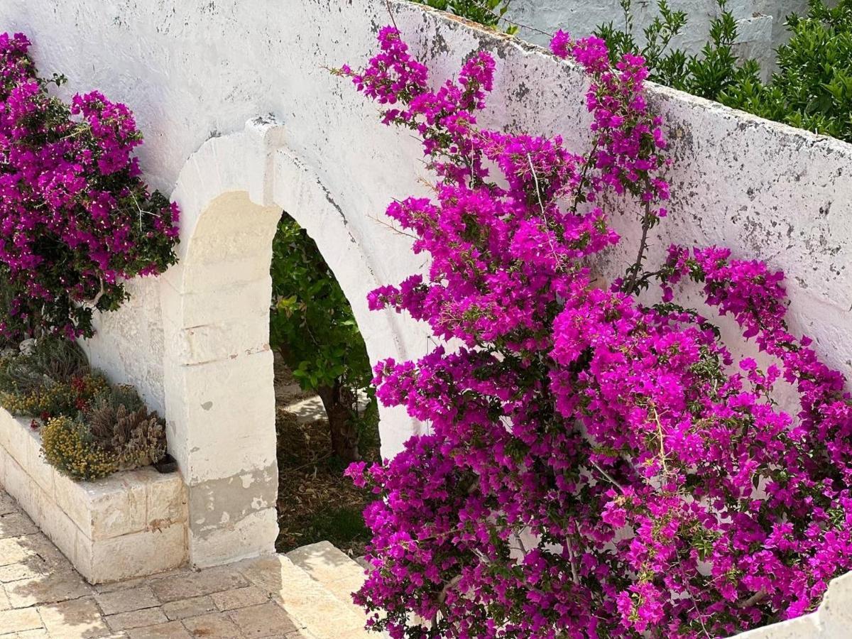 Masseria Piccole Taverne Rosa Marina Ngoại thất bức ảnh