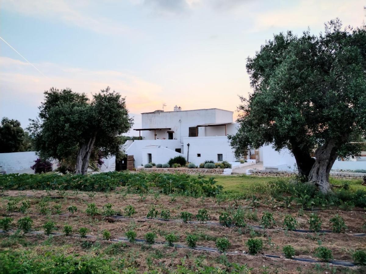 Masseria Piccole Taverne Rosa Marina Ngoại thất bức ảnh