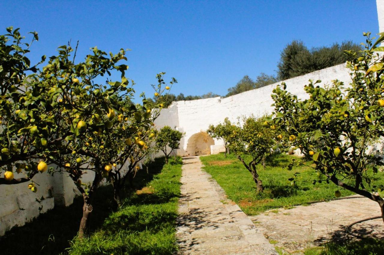 Masseria Piccole Taverne Rosa Marina Ngoại thất bức ảnh