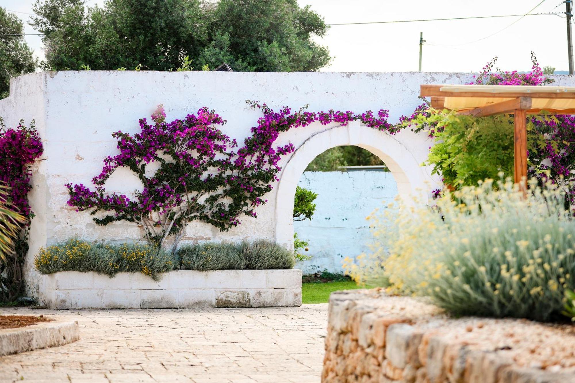 Masseria Piccole Taverne Rosa Marina Ngoại thất bức ảnh
