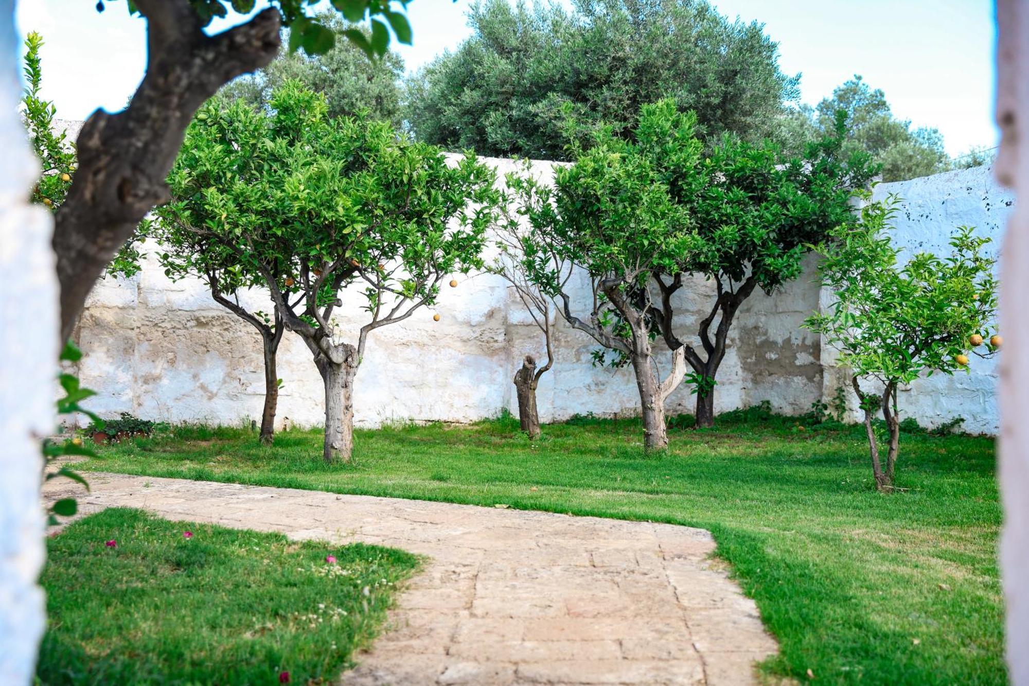 Masseria Piccole Taverne Rosa Marina Ngoại thất bức ảnh